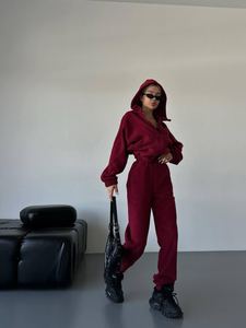 Survêtement en polaire polyvalent, vêtements assortis confortables pour l'entraînement physique, la marche et la détente - Product Image 1