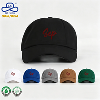 Gorra de Béisbol Personalizada de Algodón Orgánico Ecológico de Moda, MOQ Bajo, Sostenible, con Logotipo Bordado para Promoción de Nuevas Marcas