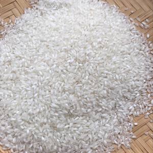 Riz Calrose de Haute Qualité – Vente en Gros Direct Usine – Riz Biologique Premium à Grains Longs – Emballage en Vrac – Prêt à l'Exportation – Disponible Maintenant en Stock - Product Image 1