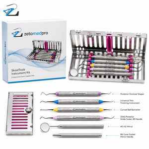 Kit de Instrumentos Premium para Modelado y Acabado de Composite Dental con Cassette de Examen de 5 Instrumentos OEM Zetomed Pro - Product Image 2