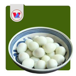 HUEVOS DE CODORNIZ ENLATADOS ECOLÓGICOS DE 15 OZ EN SALMURAN, HUEVOS DE CODORNIZ COCIDOS Y PELADOS, PREPARACIÓN RÁPIDA PARA SALADAS ASIÁTICAS Y APERITIVOS - Product Image 1