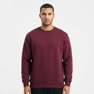 Sweat-shirt personnalisé pour homme, coupe ample, en coton de haute qualité, col rond en tissu éponge avec logo brodé - Product Image 1