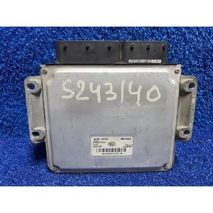ECUs y Módulos de Computación Usados de Carnival 391044X945 - Product Image 3