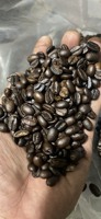 Prix pas cher vente chaude grains de café torréfiés de haute qualité 100% Robusta-Grains de café torréfiés en gros à bon prix du Vietnam