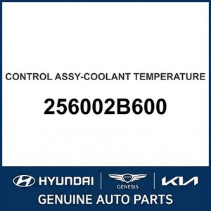 Nouvelles pièces et accessoires automobiles et camionnettes Accent 256002B600 - Product Image 1