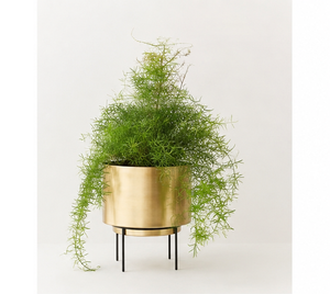 Macetero Moderno de Metal Dorado con Soporte de Hierro Negro, Maceta Redonda de Lujo para Jardín Interior y Decoración del Hogar - Product Image 6