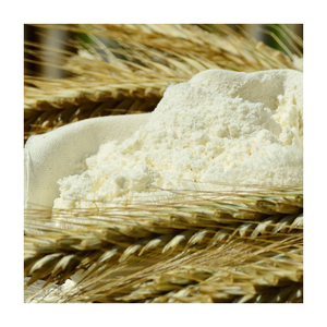 Harina de cebada disponible en grandes cantidades para comercio y distribución - Product Image 2