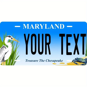 CIFbuy Plaque décorative en métal personnalisable 12x6 pouces, style plaque d'immatriculation Oklahoma Success, TikTok pour le service de retrait Temu - Product Image 4