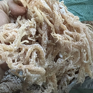 Algas marinas secas de algas vietnamitas de alta calidad para uso culinario doméstico y algas marinas orgánicas económicas y de moda. - Product Image 1