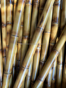 Varas de Bambú Decorativas Pulimentadas para Paisajismo |   Varillas de Bambú Elegantes y Ecológicas Seleccionadas a Mano - Product Image 2