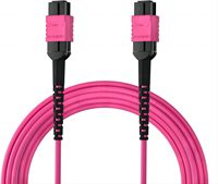 Cordon de brassage optique MPO MTP personnalisé 12-24 fibres OM3 SM LSZH POE TCP GPRS pour centre de données FTTH
