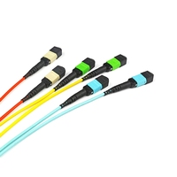Cordon de brassage fibre optique MPO vers FC LSZH 12 fibres monomode OS2 pour FTTH et centre de données 40G 100G