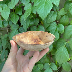 Eco Friendly Coconut Bowls for Ice Cream Smoothie Acai Salad and Dessert From Eco2go Vietnam - Product Image 4