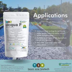 Probiotique améliorant l'immunité pour renforcer la défense des poissons - Product Image 3