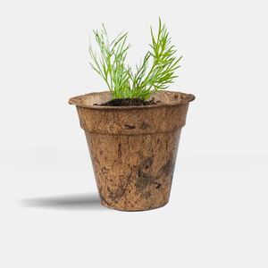 Eco-Friendly AGP Cocofiber Coconut Pot Made From Coco Fiber Cocopeat Free <b>Plastic</b> 2 Year <b>Shelf</b> Life Indonesia for Crafts Plants - Product Image 1