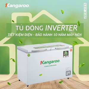 The best model Vietnam-Made Double-Temperature Chest Freezer with Manual Defrost-Dual-Door Electric Freezer for Home Use - Product Image 2