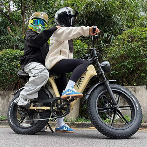 <span class=keywords><strong>Vélo</strong></span> <span class=keywords><strong>électrique</strong></span> à pneus larges R7 pour femmes, 20 pouces |   <span class=keywords><strong>Vélo</strong></span> <span class=keywords><strong>électrique</strong></span> pour femmes tendance pour la ville et l'extérieur - Product Image 1