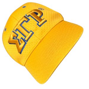 หมวกเบสบอลสีทอง SGRHO แบบกำหนดเอง หมวกปักลาย Sigma Gamma Rho สำหรับสตรี ชมรมพี่น้องชาวกรีก หมวกกีฬาแบบปรับได้ หมวกสวมศีรษะลำลอง - Product Image 3