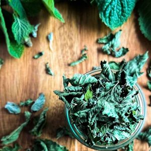 ใบสะระแหน่แห้งบรรจุภัณฑ์ขายส่งแบบยกแพ็ค สมุนไพรปรุงสำเร็จ ยี่ห้อ EXPAD อายุการเก็บรักษา 12 เดือน - Product Image 4