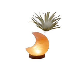 Custom Logo Himalayan <b>Moon</b> Salt Lamp Premium Quality <b>Moon</b> Shaped <b>Crystal</b> Table Lamp with OEM Size Private Label Wholesale - Product Image 2