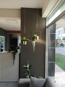 Maceta Colgante de Metal Dorado con Marco Cuadrado Geométrico y Cadena, Moderna Maceta Suspendida para Plantas de Interior, Minimalista - Product Image 4