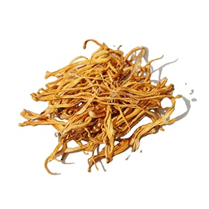 เห็ดคอร์ดิเซปส์ออร์แกนิกรสชาติธรรมชาติคุณภาพระดับพรีเมียมสำหรับส่งออก - Product Image 1