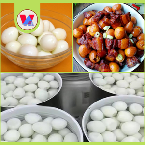 HUEVOS DE CODORNIZ ENLATADOS NATURALES DE 15 oz, HUEVOS DE CODORNIZ COZIDOS Y PELADOS, LISTOS PARA COMER, PARA SOPA ASIÁTICA, BAOZI, CARNE BRASADA - Product Image 5