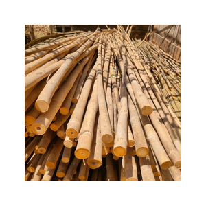 Poste de Bambú Natural Sostenible de Alta Resistencia a la Tracción, Tamaño Personalizado, Larga Vida Útil, Uso en Construcción, Hanoi International - Product Image 3