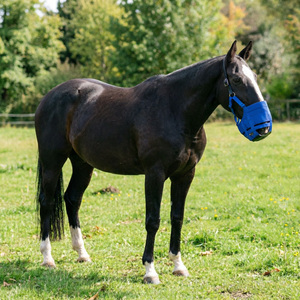 Bozal de nailon personalizado para caballos y ponis: reduce la ingesta de hierba y previene el desgaste. - Product Image 3