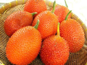 Purée de fruit de Gac biologique surgelée, pulpe de Gac avec graines, à vendre - Product Image 1