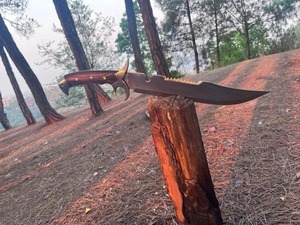 Cuchillo de Caza de Acero al Carbono con Hoja Serrada de Punta Caída y Mango de Madera, Herramienta de Supervivencia para Exteriores - Product Image 1