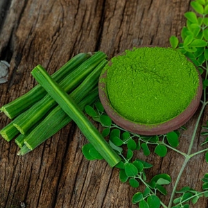 Fresh Crop Moringa Powder Pure Oleifera Extract Uniform Particle Size Food Factory Manufacturing Supply - Product Image 6