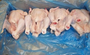Pollo Entero Halal Congelado IQF, Grado A, Fresco de Granja, Sacrificado a Mano, Sin Residuos, 24 Meses de Vida Útil, Bajo en Azúcar - Product Image 6