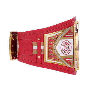 Ceinture de championnat personnalisée MMA Judo Sports Lutte, événements, promotions, qualité supérieure, alliage de zinc, cuir PU, unisexe, trophée pour fans - Product Image 2