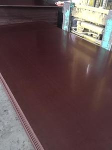 PROMAX Film Faced Eucalyptus Plywood 12mm/15mm/18mm Thickness Black Brown4x8 E2 First-Class Grade Outdoor Use Modern Design - Product Image 4