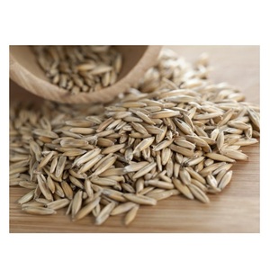 High Purity Rye <b>Grain</b> Bulk Organic Certified Rye Seeds for Milling Brewing Animal Feed Premium Quality Export Standard Supply - Product Image 3