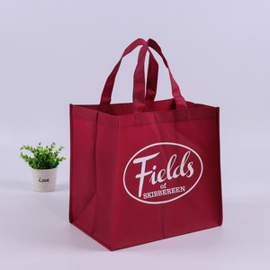Sacs de courses réutilisables personnalisables, pliables, non tissés, écologiques, grands sacs de courses simples avec votre logo - Product Image 1