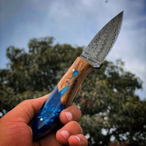Layers Damascus Steel Chef Paring <b>Knife</b> <b>Knives</b> Fruit Peeling <b>Knife</b> with Resin and Solidfied Wood Handle - Product Image 1