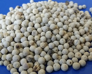 Pimienta Blanca Seca Premium VILACONIC, Granos Partidos de 5 mm, 580GL 570GL 550GL, Bolsas de 50 kg, Dong Nai, 2 Años de Duración, Celeste - Product Image 1