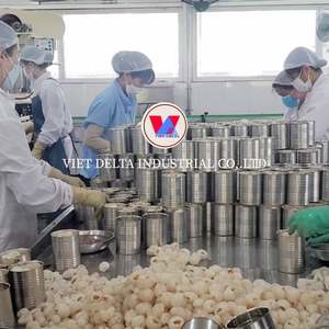 Litchis en conserve très demandés, en gros, de haute qualité, entiers et sans noyau, fabriqués au Vietnam - Product Image 6