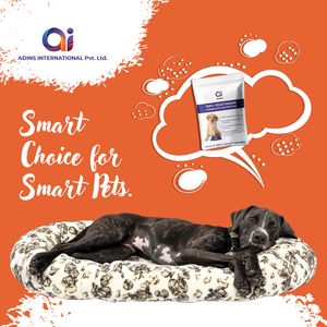 Aliments secs naturels pour chiens et chats seniors, formule naturelle, grandes races, qualité supérieure, riches en protéines, soutien immunitaire, nutrition santé, marque privée OEM - Product Image 5