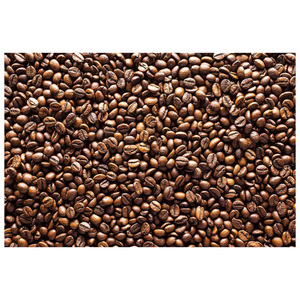 Fresh Harvest Arabica <b>Coffee</b> <b>Beans</b> with Outstanding Aroma and Exceptional Roasting Results - Product Image 4
