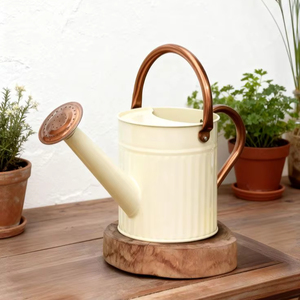 Premium Metal Watering Can For Indoor Plants With Long Spout And Leak Proof Design - Product Image 1