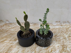 Pot de fleurs rond noir en bois, finition émaillée, classique, pour bureau, sol ou jardin - Product Image 2