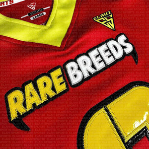 Uniformes de fútbol americano sublimados con nombre y número de doble región bordados en twill, camisetas de 12 paneles. - Product Image 4