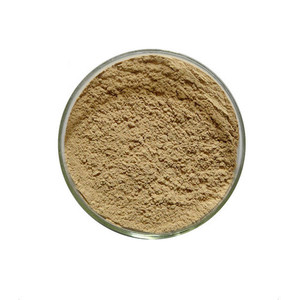 Enzyme pour une digestion efficace des protéines, poudre d'enzyme bromélaïne 1200 GDU, activité ultra élevée, dérivée végétale, protéolytique - Product Image 1