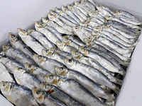 Arenque Seco Bajo en Sal al por Mayor de Vietnam y Filete de Arenque Seco Sin Sal, Suministro a Granel de 10 kg