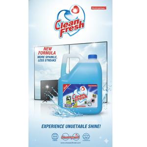 Liquide de nettoyage professionnel pour vitres et surfaces 5 L, pour fenêtres, miroirs, portes vitrées, vitrines, disponible au meilleur prix - Product Image 2