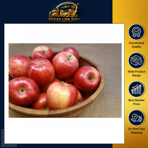 Manzanas Frescas de Alta Calidad, Dulces, Crujientes y Jugosas para Venta al por Mayor, Minoristas, Supermercados y Distribución de Servicios de Alimentos - Product Image 2