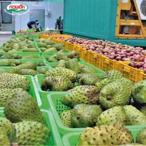 OEM ODM น้ำผลไม้ธรรมชาติ 100% ขนาด 11.1 ออนซ์ (330 มล.) บรรจุกระป๋อง จากผลไม้สด ไม่เติมน้ำตาล ได้รับการรับรองมาตรฐาน ISO GMP ราคาส่งออกต่ำ ขั้นต่ำในการสั่งซื้อน้อย - Product Image 3